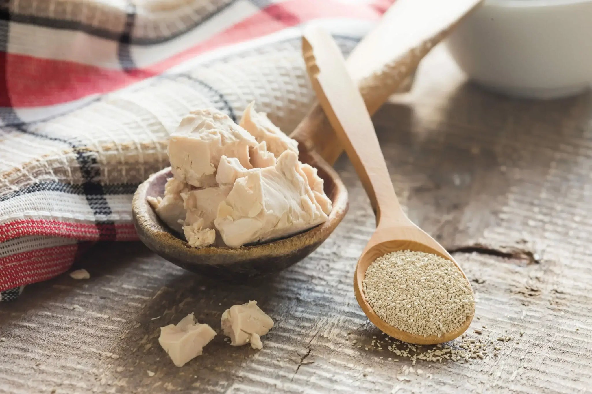 A close-up of a wooden spoon filled with dry yeast granules and a small bowl containing chunks of fresh yeast.