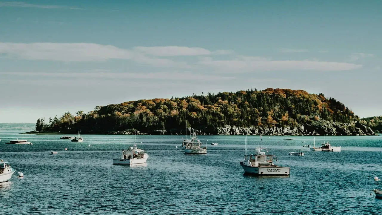 A serene bay with several small fishing boats anchored on turquoise waters.