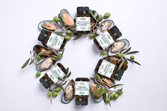 Bottles of dietary supplements labeled "Joint & Muscle Support" are arranged in a circular design with mussel shells, green olives, and olive branches.