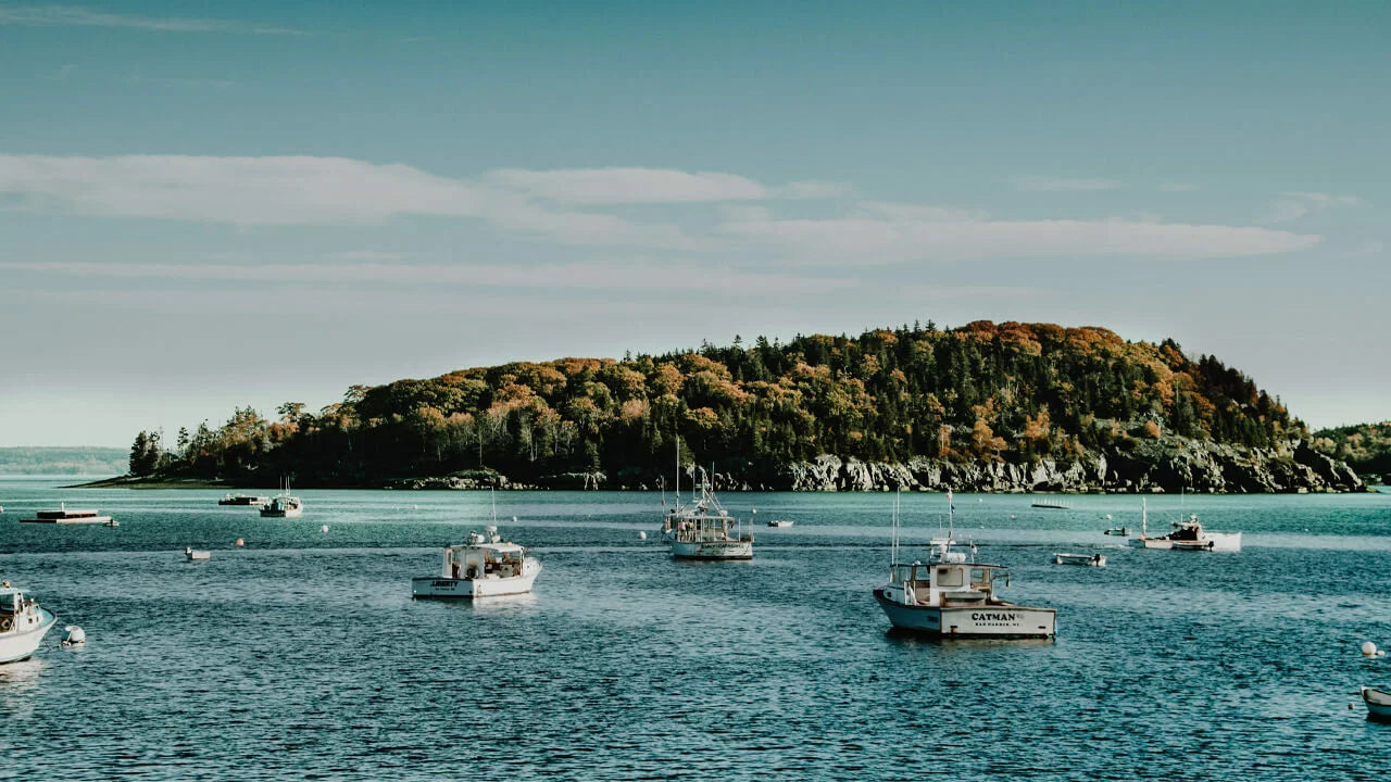 A serene bay with several small fishing boats anchored on turquoise waters.