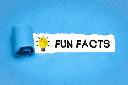 A section of blue paper is peeled back to reveal the words "FUN FACTS" in bold black letters on a white background.