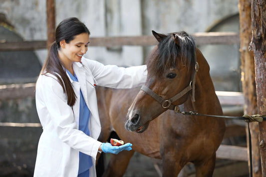 A woman in a white lab coat and blue gloves is smiling and holding an apple slice in her hand, feeding a brown horse with a black mane.