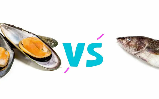 The image shows a comparison between mussels and a fish.