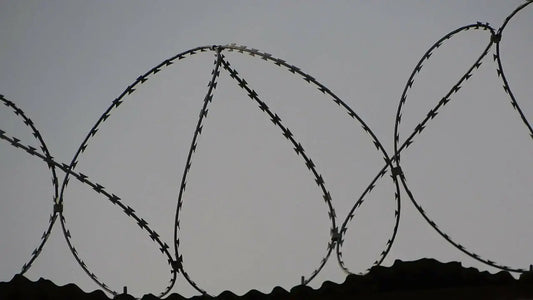 Silhouette image of barbed wire coiled in loops atop a fence, set against a dimly lit sky. The coils of barbed wire form large, intricate loops, creating a stark contrast with the soft gradient of the background,