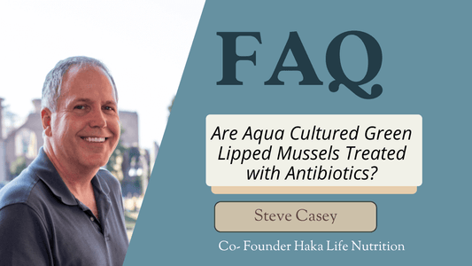 Are Aqua Cultured Green Lipped Mussels Treated with Antibiotics?