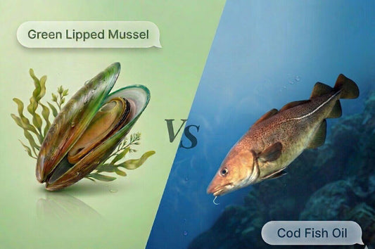 Discover Green Lipped Mussel vs Cod Fish Oil for green lipped mussel joint health benefits