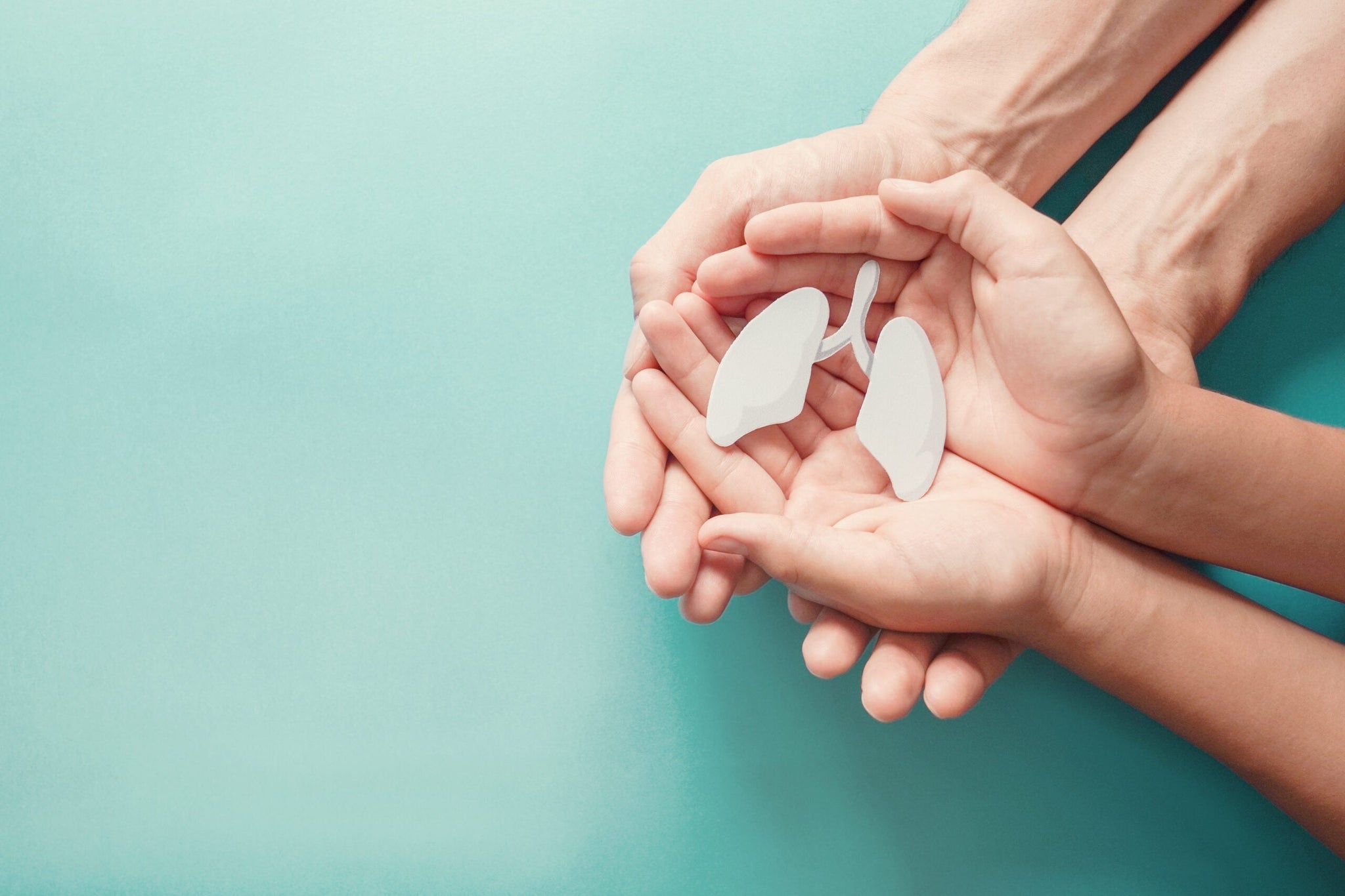 Three pairs of hands of different sizes, possibly representing multiple generations, are cupped together