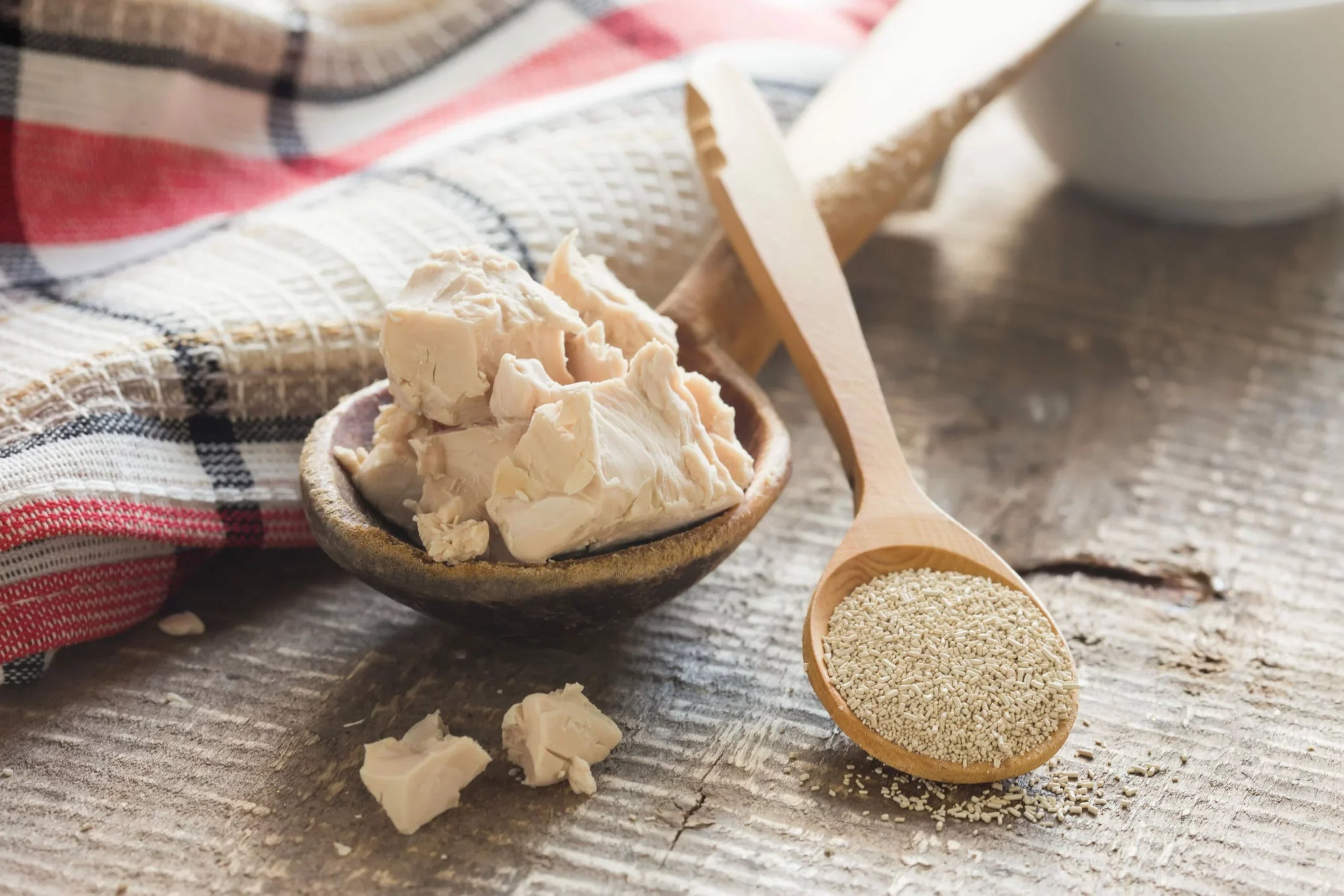 A close-up of a wooden spoon filled with dry yeast granules and a small bowl containing chunks of fresh yeast.