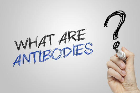 A hand holding a marker writes the text "What are antibodies?" on a whiteboard.