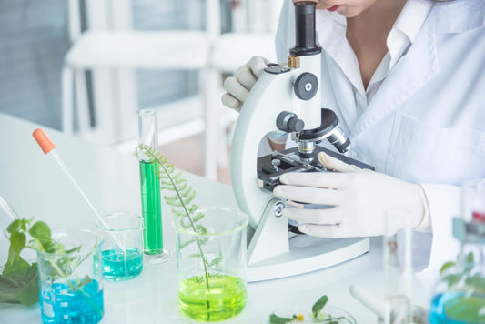 A scientist in a white lab coat and gloves is looking through a microscope at a sample.