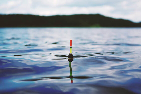 Close-up of a fishing float bobbing in calm water. The float has a red, green, and yellow colored tip. .