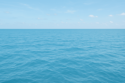 Green Lipped Mussel Vs Krill Oil