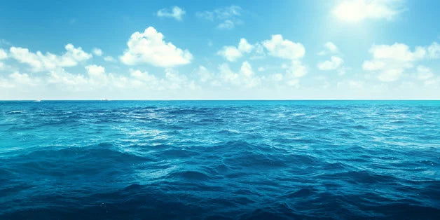 A vast, calm ocean stretches toward the horizon under a clear blue sky.