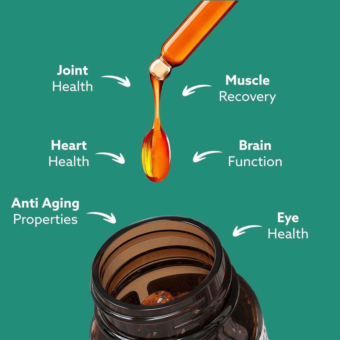 GLX3 - Extra Strength Green Lipped Mussel Oil (3 Months Off) for joint health, muscle recovery, heart health and anti-aging properties.