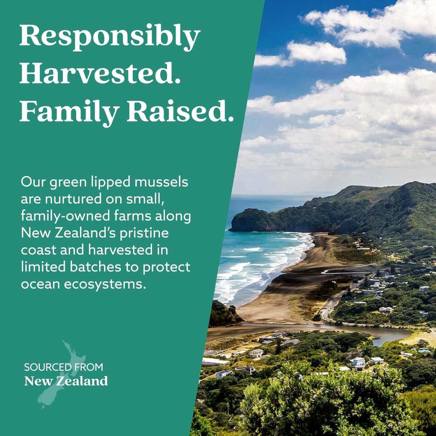GLX3 - Extra Strength Green Lipped Mussel Oil (3 Months Off) responsibly sourced from family-owned New Zealand farms.