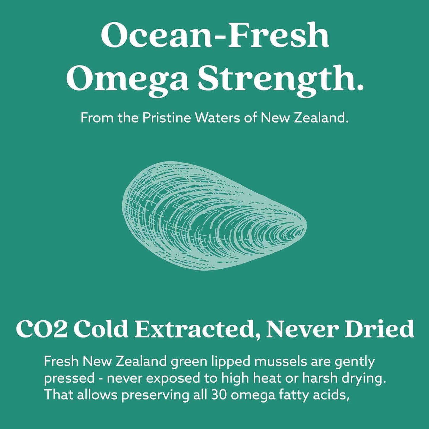 GLX3 - Extra Strength Green Lipped Mussel Oil (3 Months Off) showcasing ocean-fresh omega strength from New Zealand.
