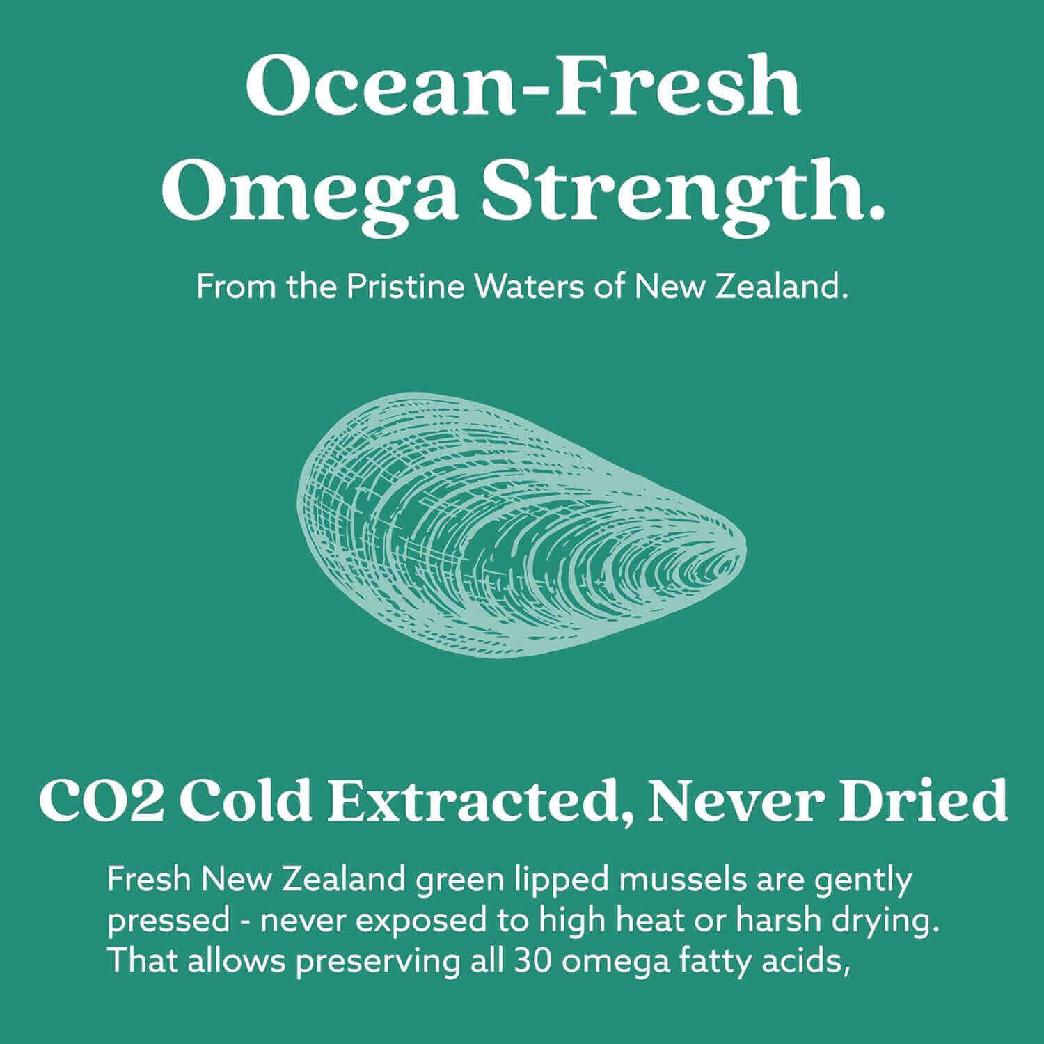 GLX3 - Extra Strength Green Lipped Mussel Oil (3 Months Off) showcasing ocean-fresh omega strength from New Zealand.
