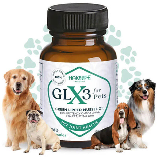 GLX3 Mussel Oil For Dogs - Pet Safe Hip & Joint Support*